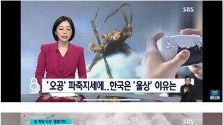 중국의 오공 때문에 울상이라는 한국