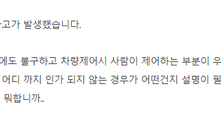 테슬라 대리운전 사고에 대한 논쟁