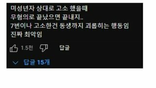 곽튜브 덕분에 알려진 이나은의 7고소 7패소.