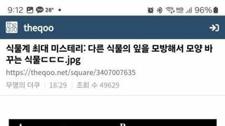 미스테리한 식물