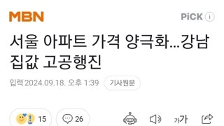 서울 아파트 가격 양극화…강남 집값 고공행진