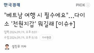 베트남 여행시 유용하다는 다이소 지갑