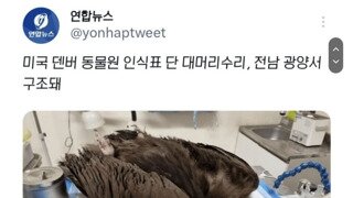 전라도를 라도라고 부르면 안되는 이유