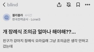 강아지 장례식 조의금