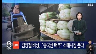 김장철 비상…'중국산 배추' 소매시장 푼다