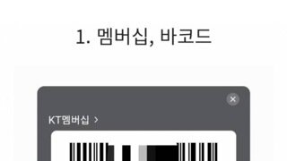 미친것 같은 삼성페이