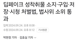 딥페이크 성착취물 소지·구입·저장·시청 처벌법, 법사위 소위 통과