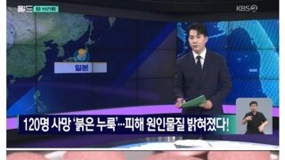 (일본) 붉은 누룩 건강보조제로 120명 사망 원인 밝혀.jpg