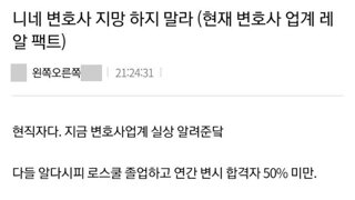 요즘 로스쿨 변호사 현실.txt