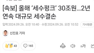 2년연속 역대급 세수 펑크 30조