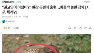 “길고양이 아녔어?” 한강 공원에 출현…화들짝 놀란 정체 [지구, 뭐래?]