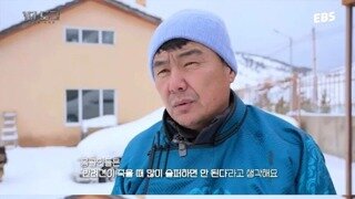 키우던 개가 죽어도 슬퍼하면 안된다는 몽골의 풍습