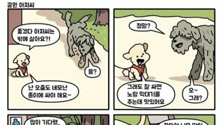 공원 아저씨..toon