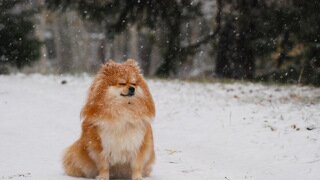 오갤러님들께 도움!도움! 요청드립니당^_^ 댓글창에도 사진올렸어영