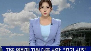 지역 영화제 예산 대폭 삭감