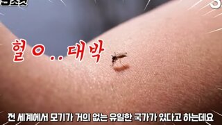 전세계 모기가 유일하게 없는 국가.jpg