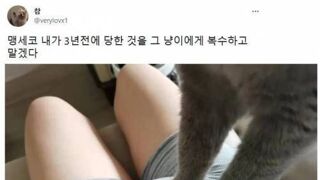 3년 만에 해낸 복수