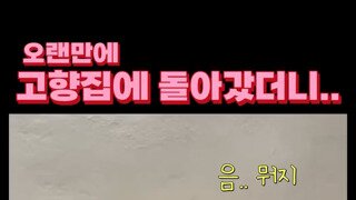 시골집 멍멍이