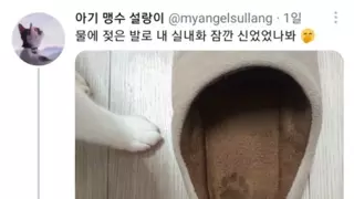 썸네일 이미지