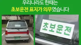 대한민국에서 초보운전 표지 의무화가 사라진 이유