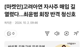 [마켓인]고려아연 자사주 매입 길 열렸다…최윤범 회장 반격 청신호