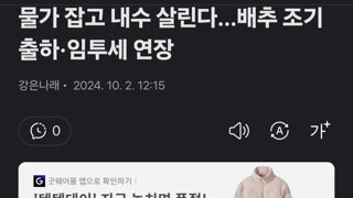 물가 잡고 내수 살린다…배추 조기출하·임투세 연장