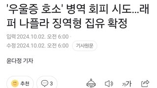 '우울증 호소' 병역 회피 시도…래퍼 나플라 징역형 집유 확정