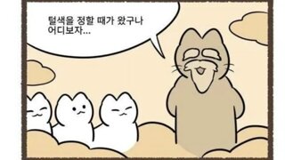 고양이의 털색이 정해지는 방법