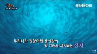 대한민국 원양어업 효자어종 1위