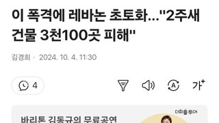 이 폭격에 레바논 초토화…'2주새 건물 3천100곳 피해'