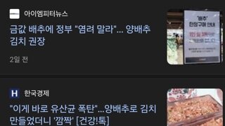 정부, 비싼 배추 대신 양배추로 김치담궈라