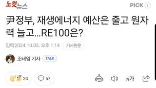 尹정부, 재생에너지 예산은 줄고 원자력 늘고…RE100은?