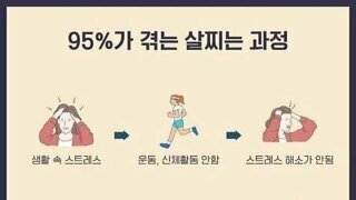 95%가 살찌는 과정