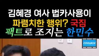 김혜경여사 법카 사용이 파렴치한 행위?.mp4