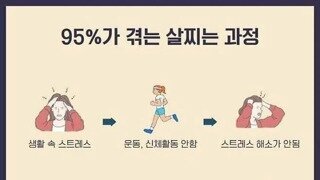 95%가 겪는 살찌는 과정