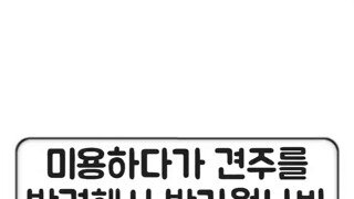 집사 발견한 멍멍이