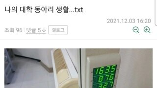 디시인의 대학교 동아리 썰