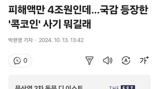 피해액만 4조원인데…국감 등장한 '콕코인' 사기 뭐길래