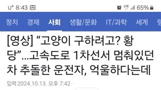 “고양이 구하려고? 황당”…고속도로 1차선서 멈춰있던 차 추돌한 운전자, 억울하다는데