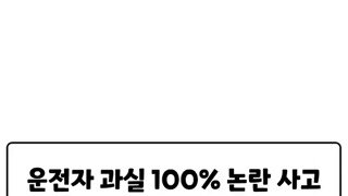 논란의 운전자 과실 100프로