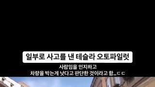 일부러 사고를 낸 테슬라 오토파일럿