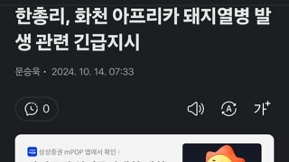 한총리, 화천 아프리카 돼지열병 발생 관련 긴급지시