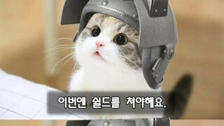 개웃기네 선거 철이라고 ㅋㅋㅋ 길 폭파했는데