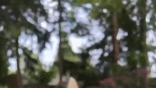 배꼽잡고 웃었지만 탭은 이슈로 ㅋㅋㅋㅋ