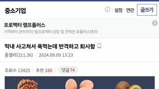 막내 사고쳐서 욕먹는데 반격하고 퇴사함