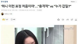 뉴진스 하니 국감 반응