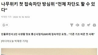 나무위키 첫 접속차단 방심위 