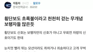 요새 횡단보도 초록불에 천천히 걷는 무개념들 많은듯