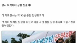 (혐오자료) 돼지 능지처참 행사 사건