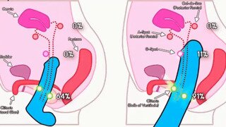 ㅇㅎㅂ?  작은 고츄와 큰 고츄의 성능 차이를 알아보자